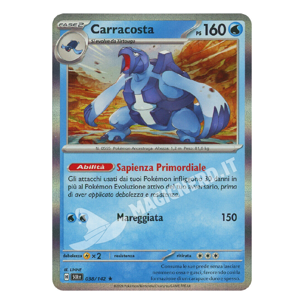 Carracosta Holo SCR 038 (ITA)