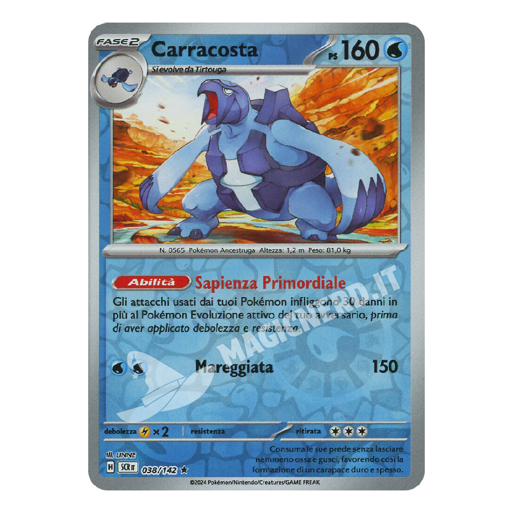 Carracosta Rara Reverse SCR 038 (ITA)