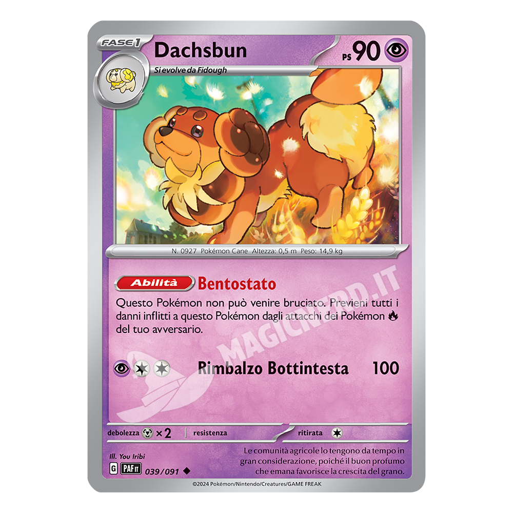 Dachsbun Non Comune PAF 039