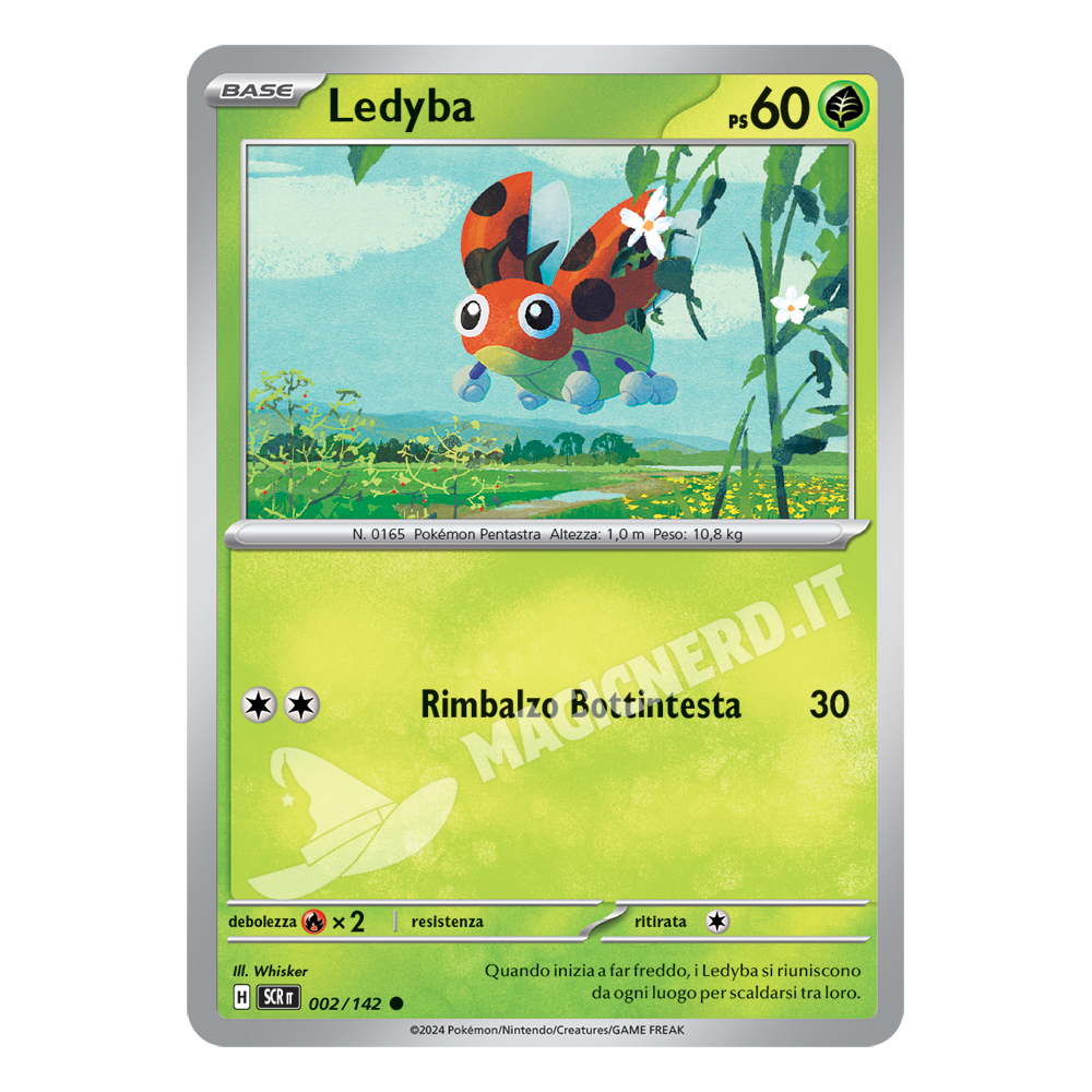 Ledyba Comune 002