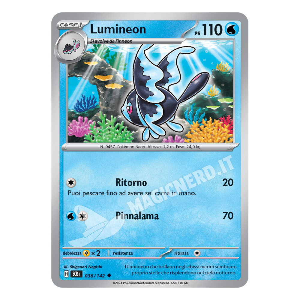 Lumineon Non Comune SCR 036 (ITA)