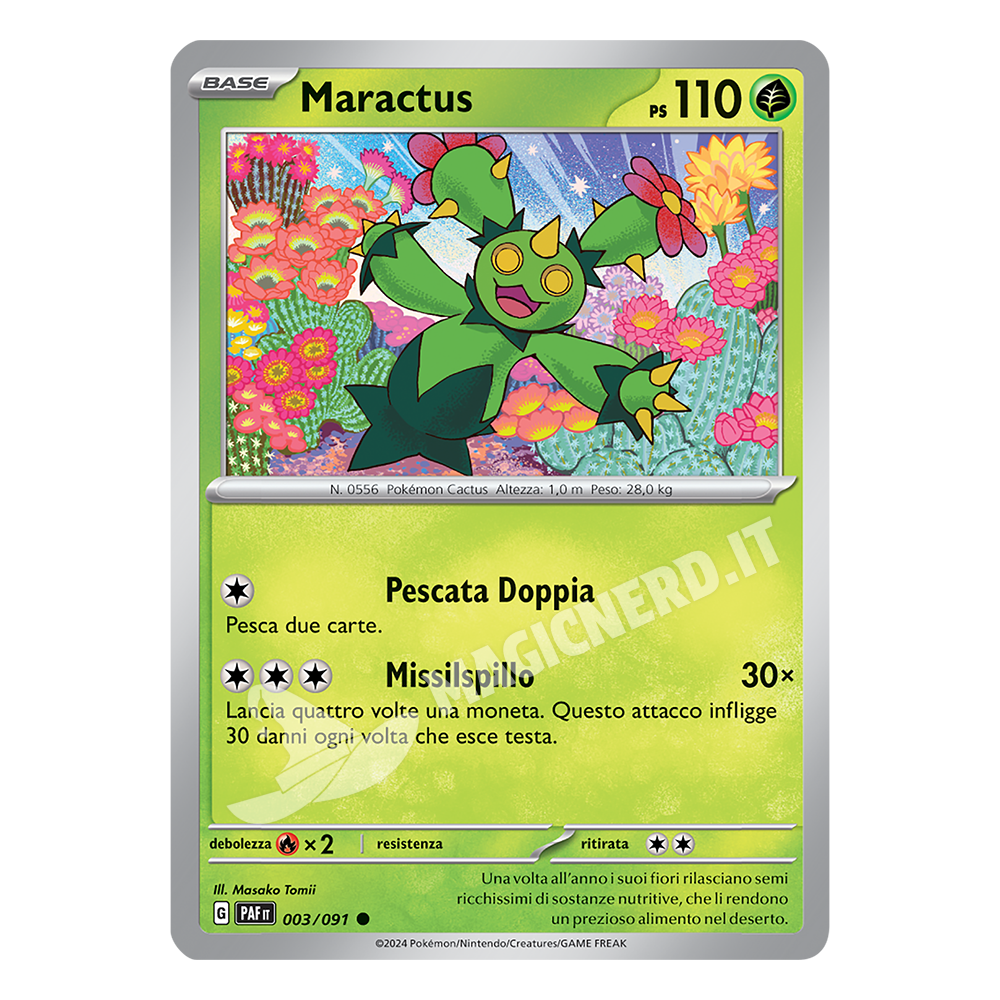 Maractus Comune PAF 003