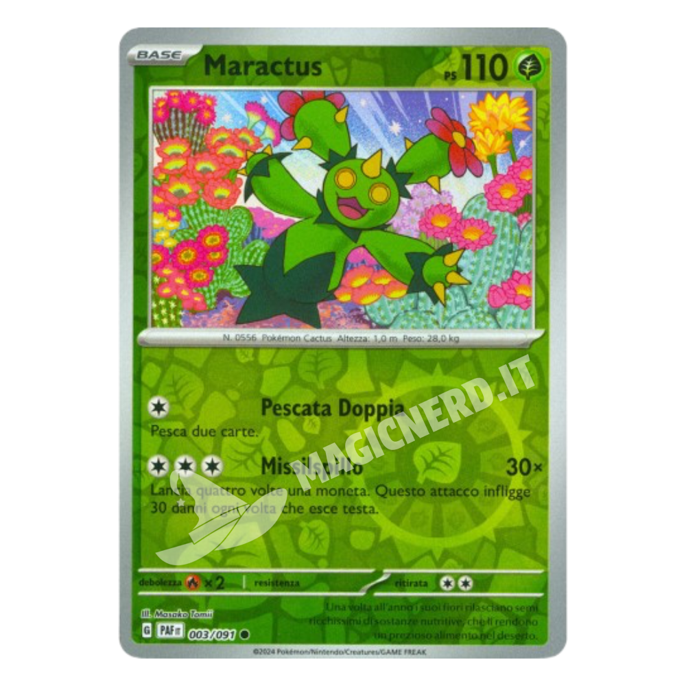 003/091 Maractus Comune