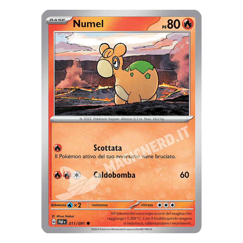 Numel Comune PAF 011