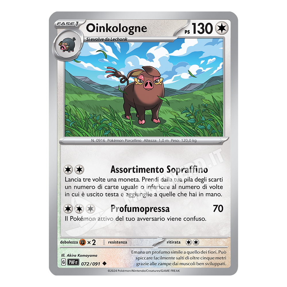 072/091 Oinkologne Comune PAF