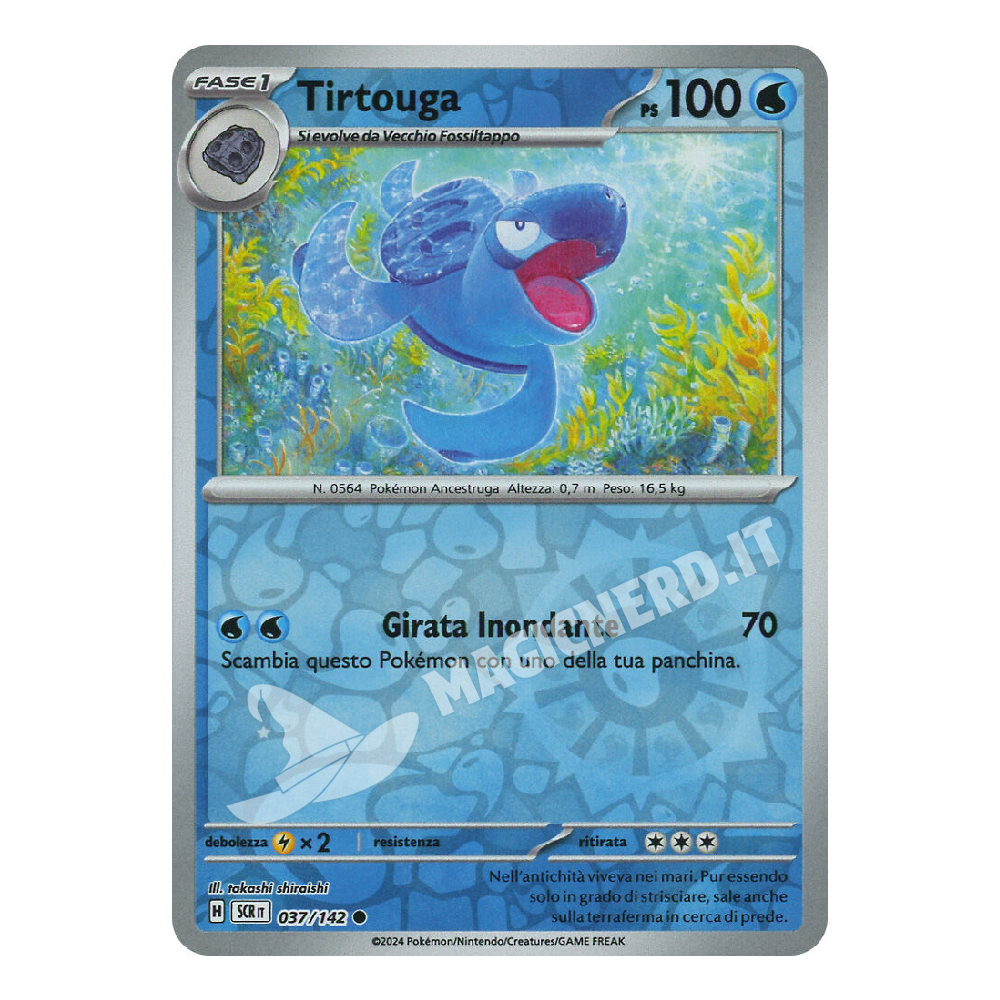 Tirtouga Comune Reverse SCR 037 (ITA)