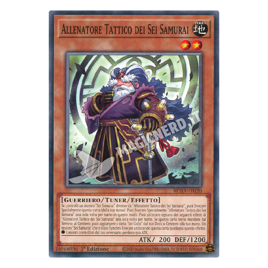 Allenatore Tattico dei Sei Samurai comune