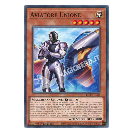 Aviatore Unione comune