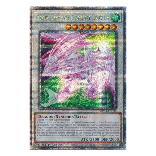 Drago Polvere di Stelle Accel Synchro Quarter century