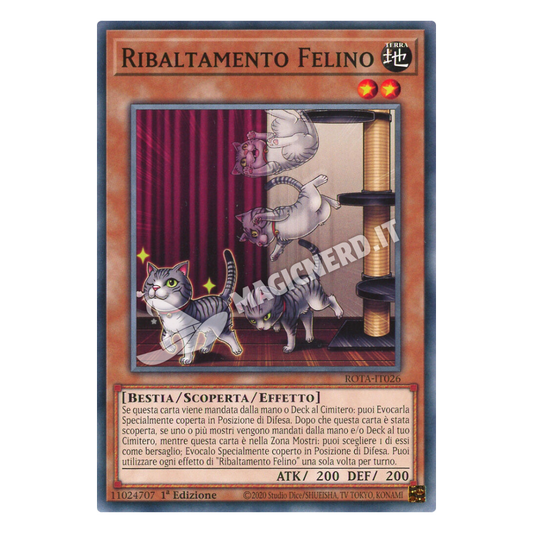Ribaltamento Felino comune