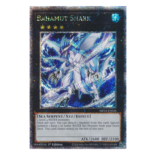 Squalo Bahamut quarter century