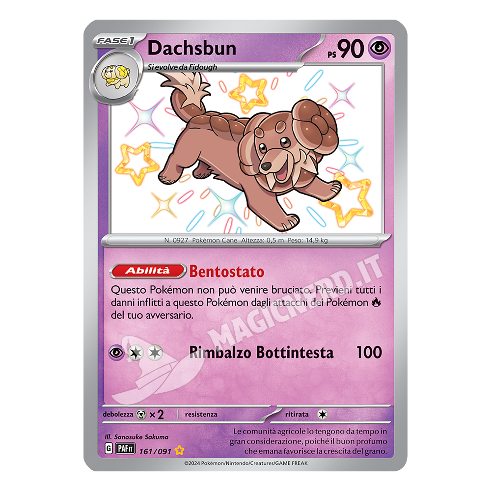 161/091 Dachsbun Shiny
