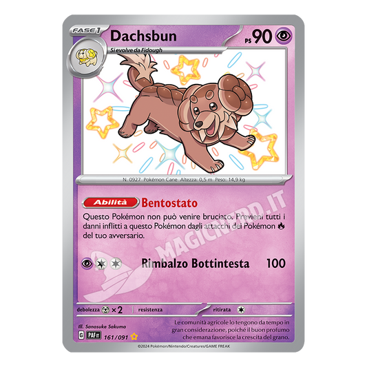 161/091 Dachsbun Shiny
