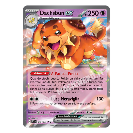 Dachsbun ex SCR 067 (ITA)