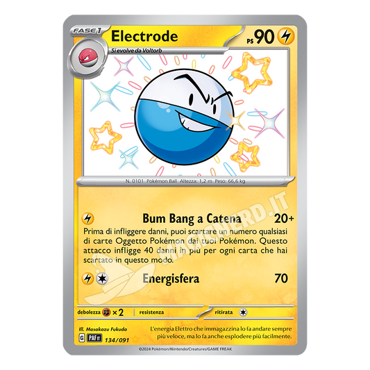 134/091 Electrode Shiny