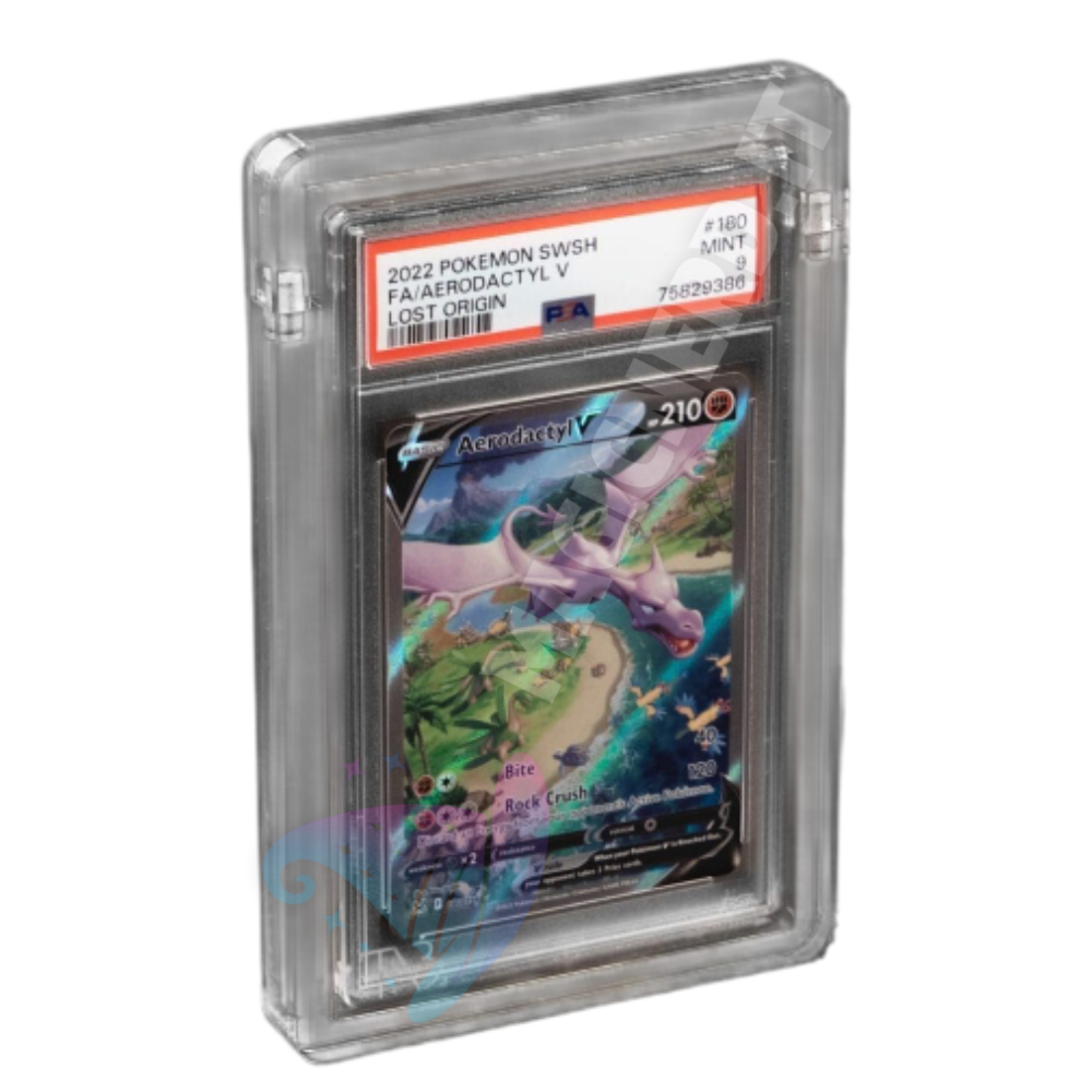 Espositore in Acrilico per Carte Gradate The Acrylic Box
