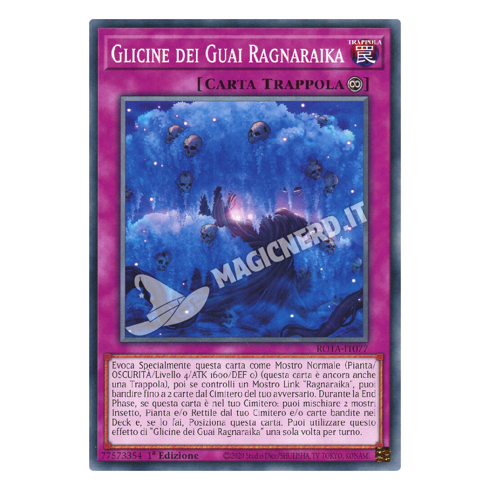 Glicine dei Guai Ragnaraika comune