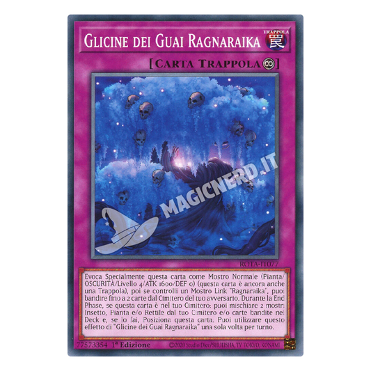 Glicine dei Guai Ragnaraika comune