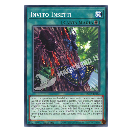 Invio Insetti comune