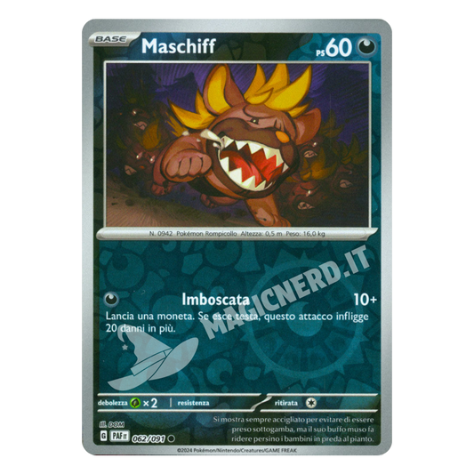 062/091 Maschiff Comune Reverse PAF