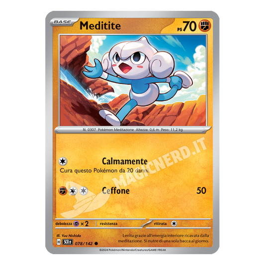 Meditite Comune SCR 078 (ITA)