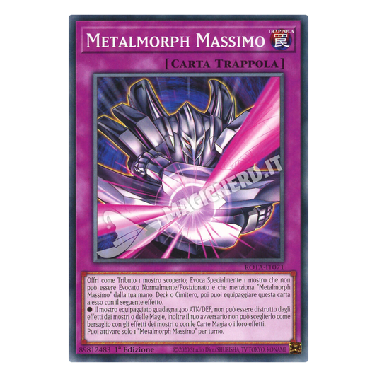 Metalmorph Massimo comune