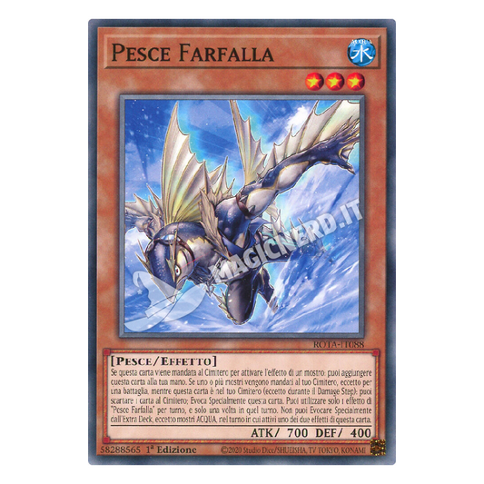 Pesce Farfalla comune