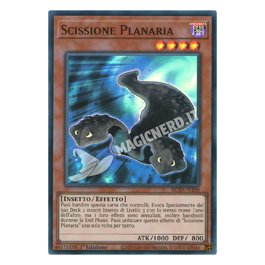 Scissione Planaria super rara